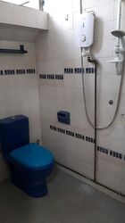 Emerald Hill Road (D9), Apartment #483547531
